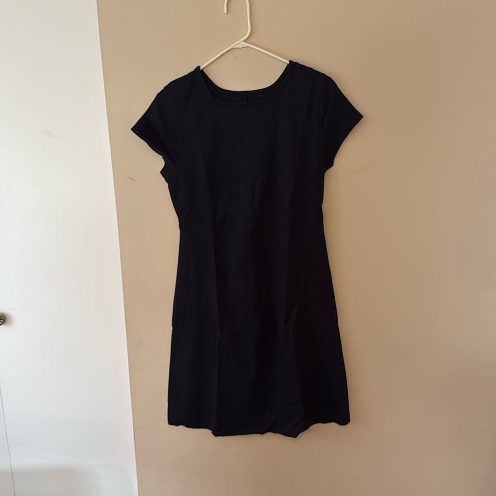 Everlane Dress